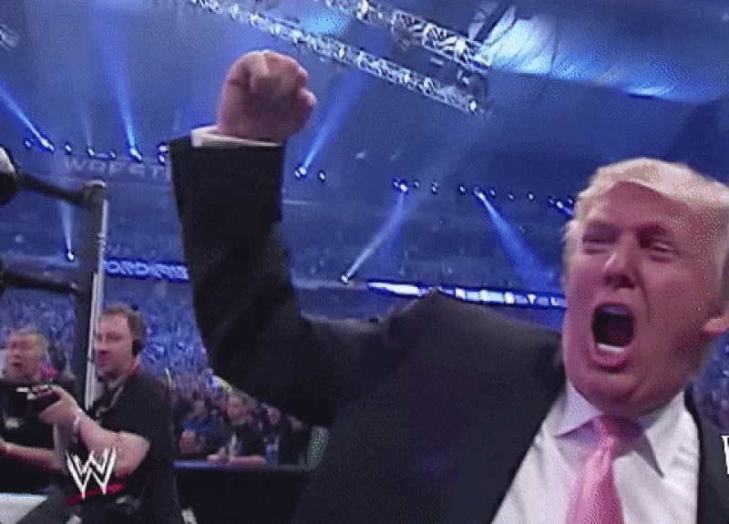 20200519 donald trump wwe.gif