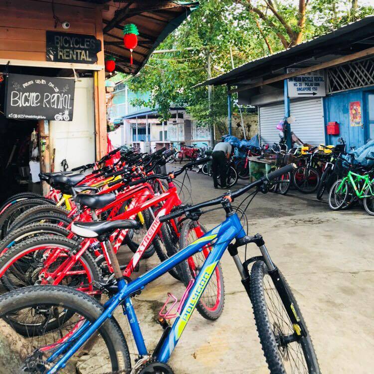 周末去环岛！新加坡共享单车租借清单🚲一起骑车兜风去