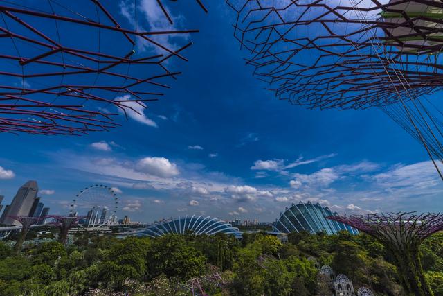 花园城市新加坡的怪异大树，滨海湾公园里的奇景