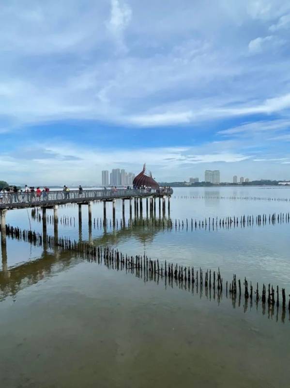 新加坡双溪部落湿地（Sungei Buloh Wetland Reserve)