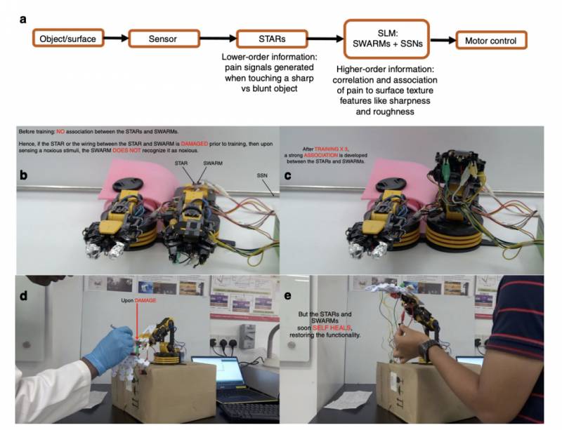 NTU 科研团队实现机器人识别疼痛及自我修复功能