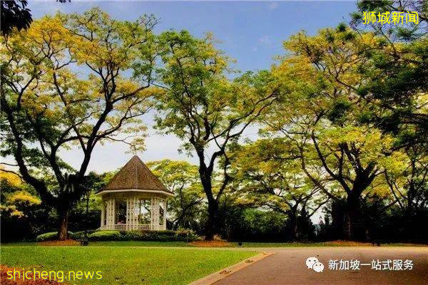 最美丽的自然风光: 新加坡植物园