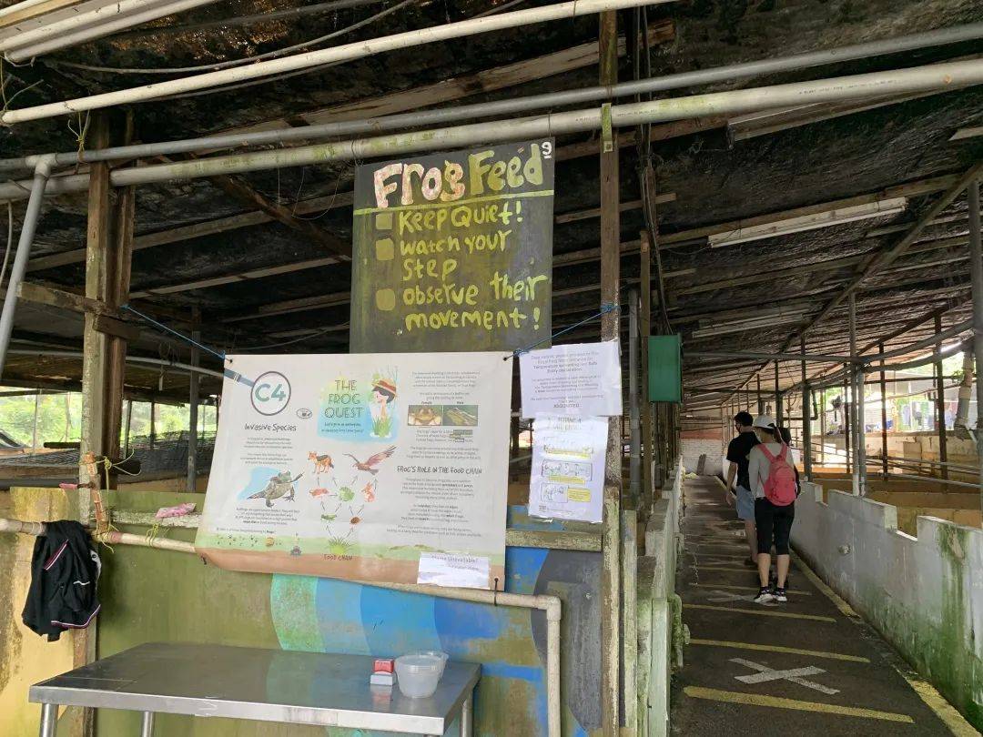 可使用【重新探索新加坡消费券】牧羊场、青蛙农场、双溪布洛带你走透透