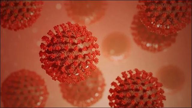 国际日报“Eek”来了！印尼检测到变种冠状病毒 传染性更强