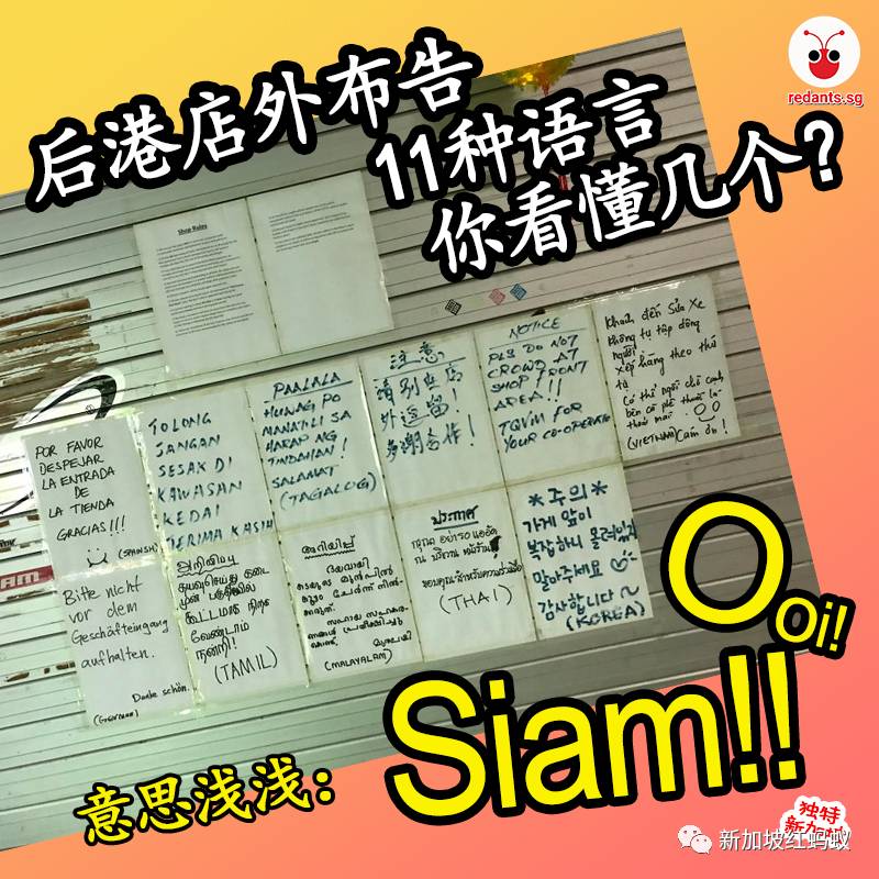 比谷歌翻译还厉害！　狮城这家店张贴11种语言的防疫告示，你看懂几种