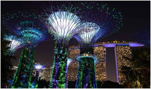 新加坡14+7的居家隔离！中国来的长期准证持有者为啥不需要