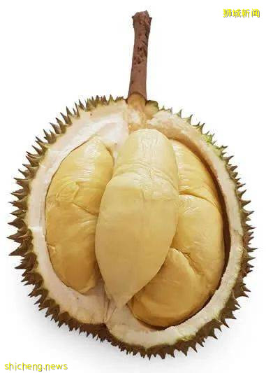 新加坡榴梿全攻略！实拍挑战芥末和烧烤榴梿！太刺激了