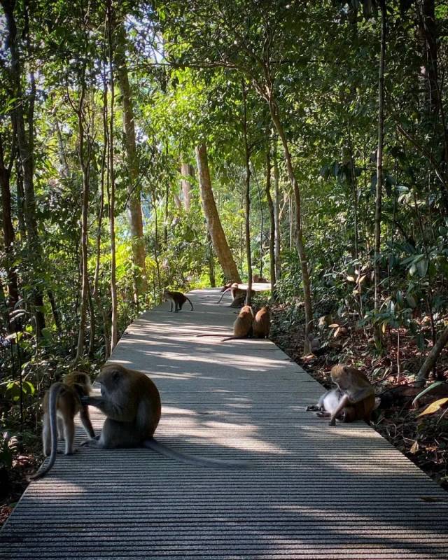 镜头下的麦里芝宛如魔法森林,你见过吗