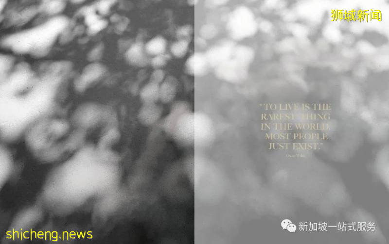 最美丽的自然风光: 新加坡植物园