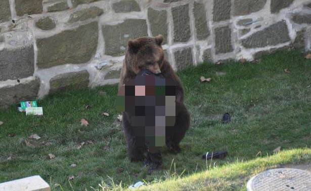 残忍！上海动物园熊吃人，亲眼目睹！新加坡也发生过类似案件！印度最惨