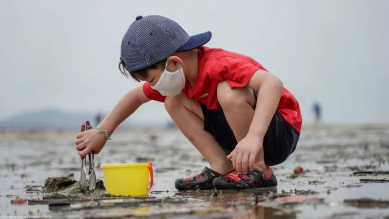 新加坡赶海全攻略！寄居蟹、花蟹、龙虾、蛤蜊、海星、海参...我挖到宝藏啦