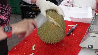 新加坡榴梿全攻略！实拍挑战芥末和烧烤榴梿！太刺激了