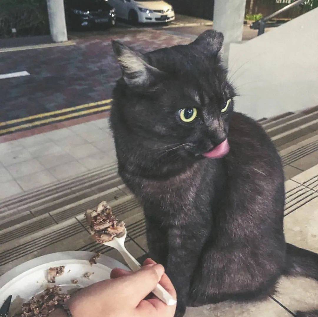 南洋理工大学，每一帧都很美