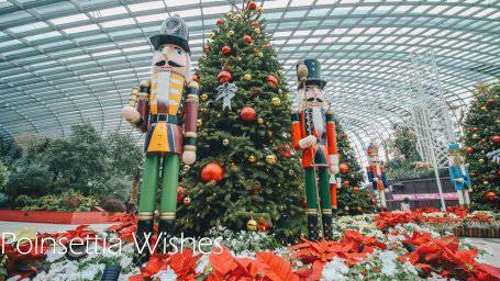 来新加坡，过一个暖暖的圣诞季