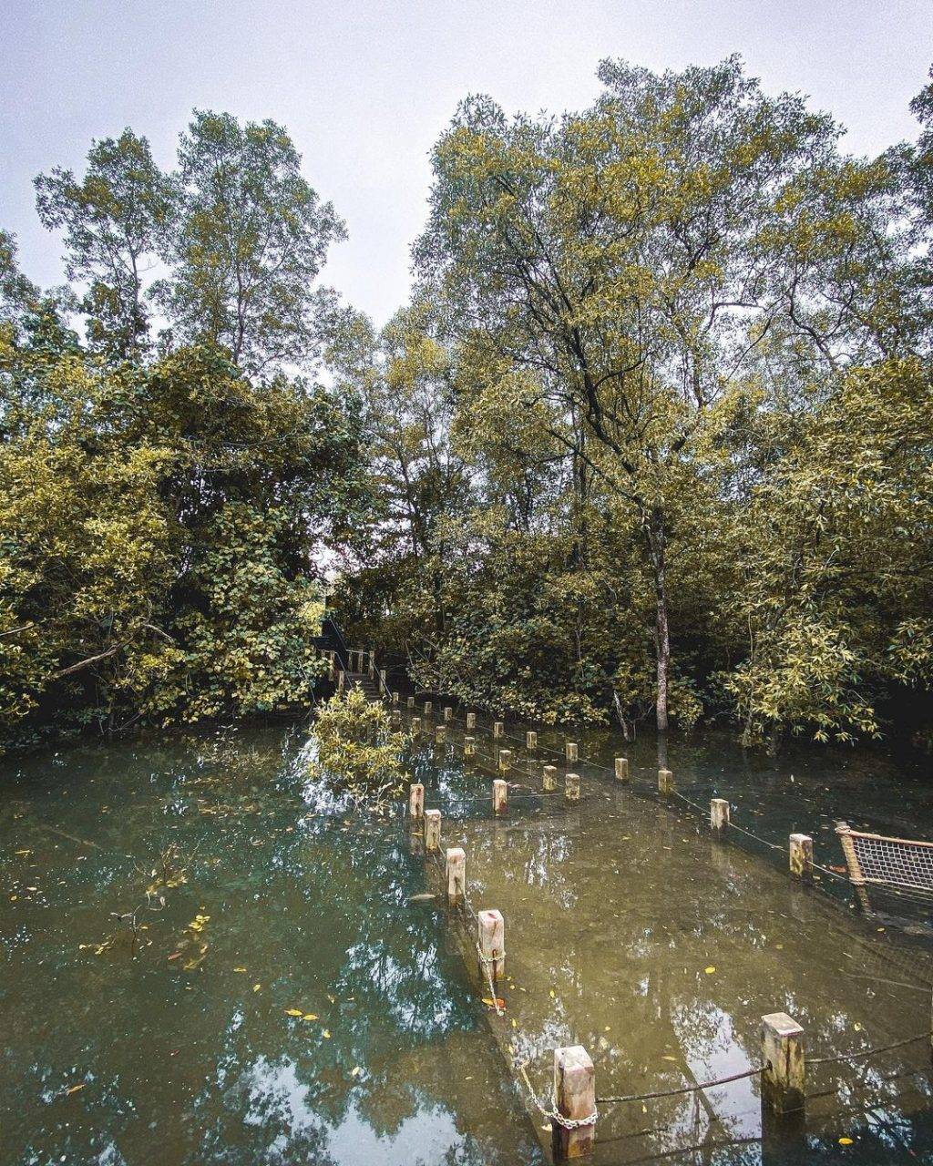 秘密景区！新加坡8座遗忘的角落🌂 徒步旅行好去处！消失的水库、战争遗物、遗弃古迹