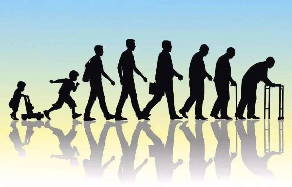 利用人工智能分析，新加坡国大医学院研究哪些生活习惯让人显得年轻