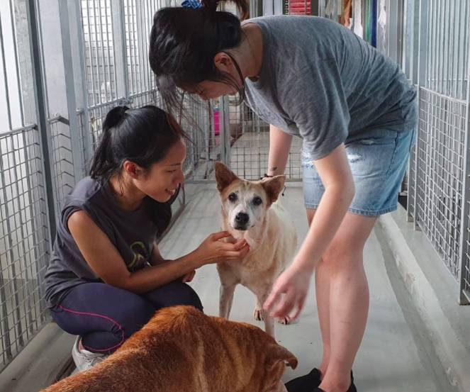 周末去哪玩？一起来探索新加坡本地人都不知道的新奇活动和景点吧