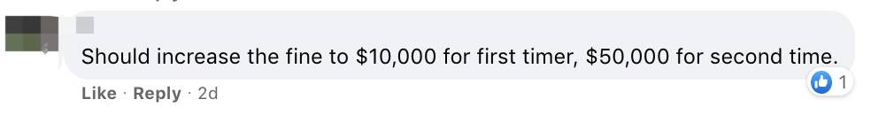 四人在新加坡喂野猪犯法，共被罚1万新币！这些罚款规定太多人踩雷