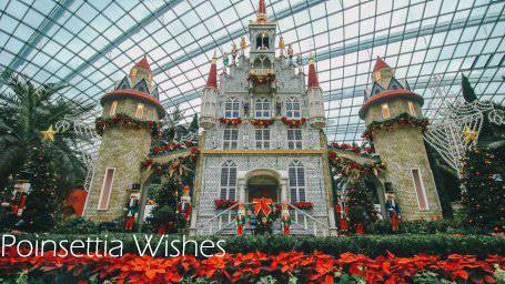 来新加坡，过一个暖暖的圣诞季