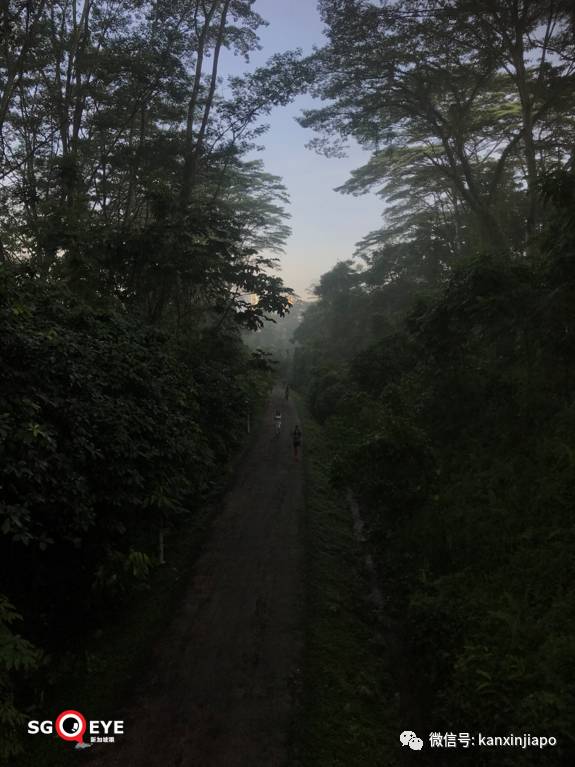 昨天小长假人山人海，武吉知马老铁路成新景点！前生今世大揭秘