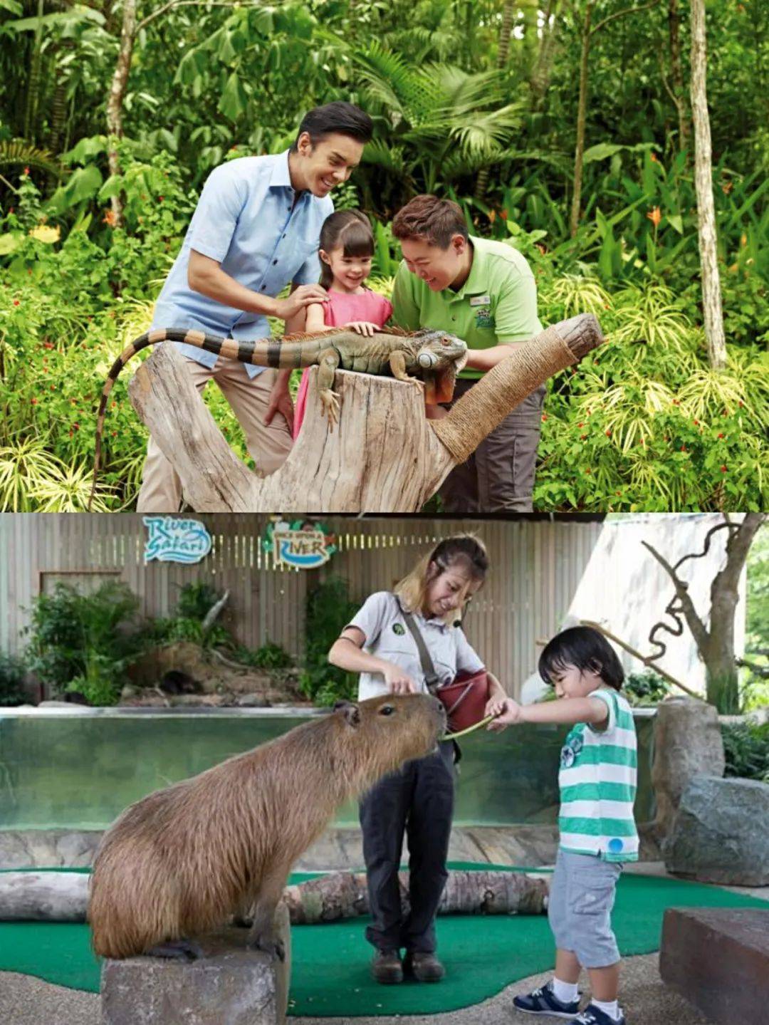 国宝级的客人出席你的新年午宴，有没有猜到是谁来了