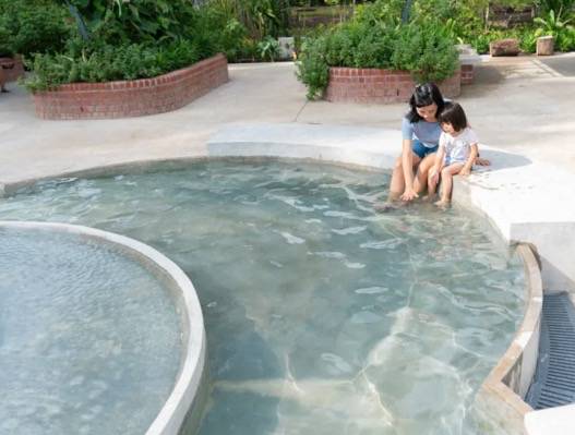 遛娃攻略！半年不重复