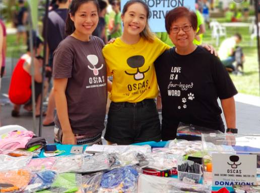 周末去哪玩？一起来探索新加坡本地人都不知道的新奇活动和景点吧