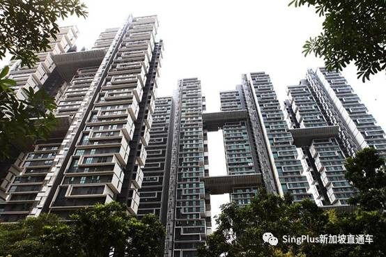 垃圾岛即将填满，海平面不断上升，新加坡还能坚持多久