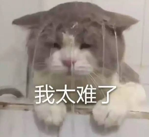 疫情下的新加坡女佣有多难找?撒谎、偷东西、乱交男友、还被几个家庭争着要