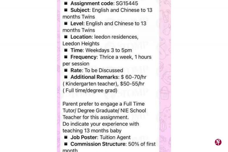 “怕输”家长找家教 13月双胞胎要补双语