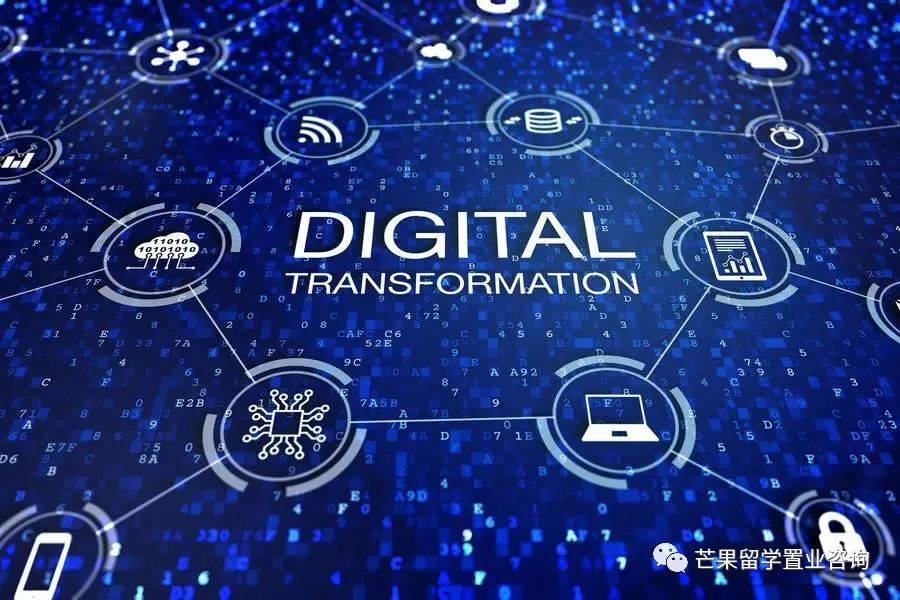 新加坡未来可能最吃香的专业之一