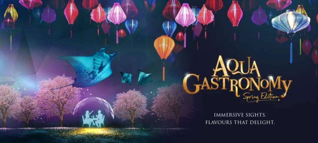 新加坡SEA海洋馆深蓝夜宴【新春特别版】登场！海底舞龙贺岁又来啦