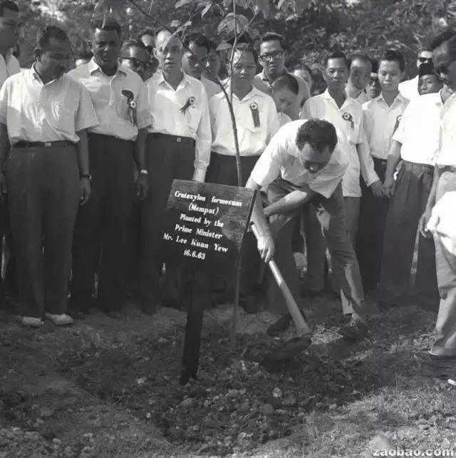 将自然引入城市：新加坡“花园城市”背后的故事