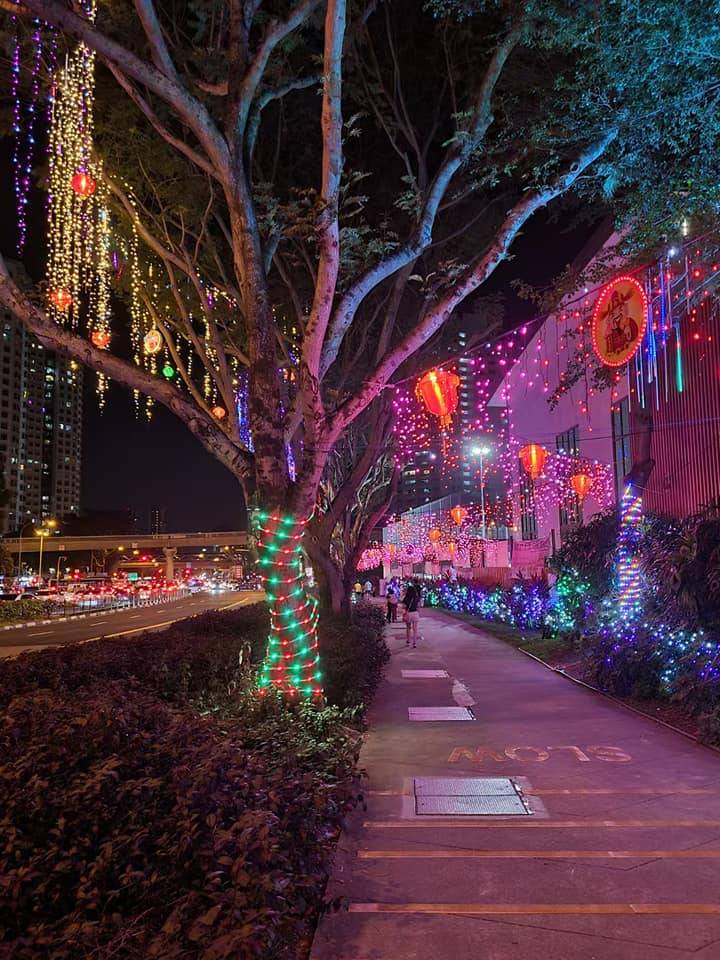 春节换装添喜气!Bukit Panjang浮动步道开启新春模式🧧气派灯笼阵、炫彩装饰亮灯啦