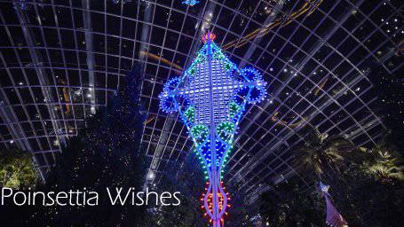 来新加坡，过一个暖暖的圣诞季