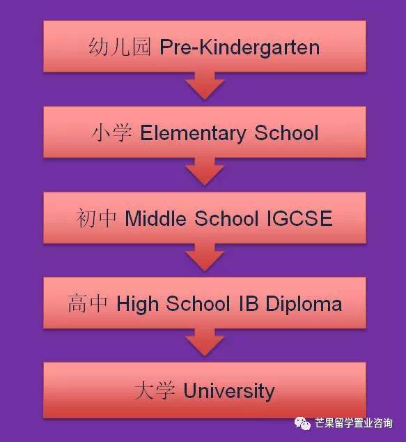 “明星国际学校”——新加坡史丹福美国国际学校