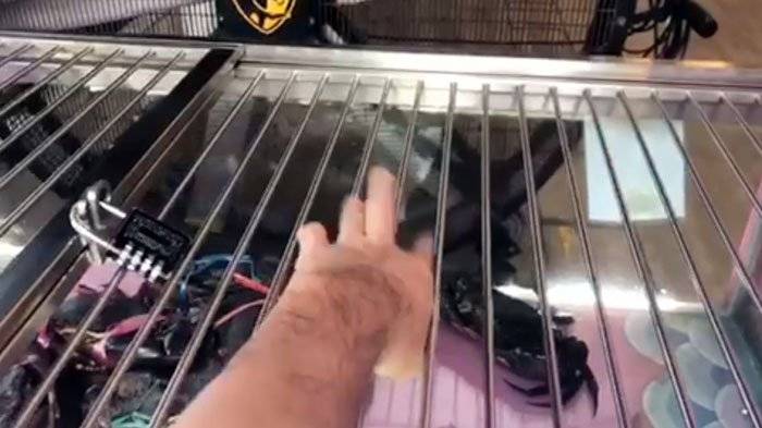 为防偷蟹贼 店家打造“螃蟹保险箱”