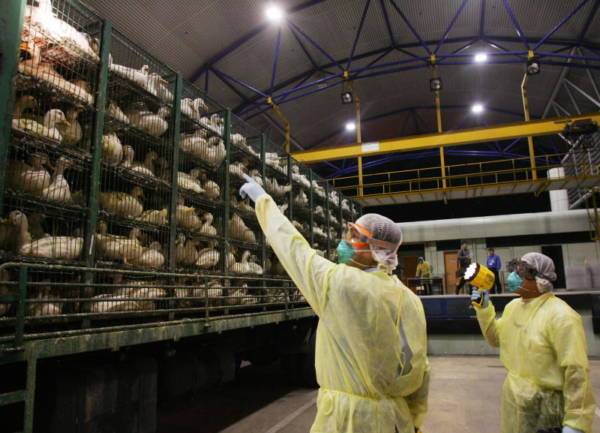 ◤肺炎疫情◢ 担心检测塞车提早出门 送货司机反困5小时