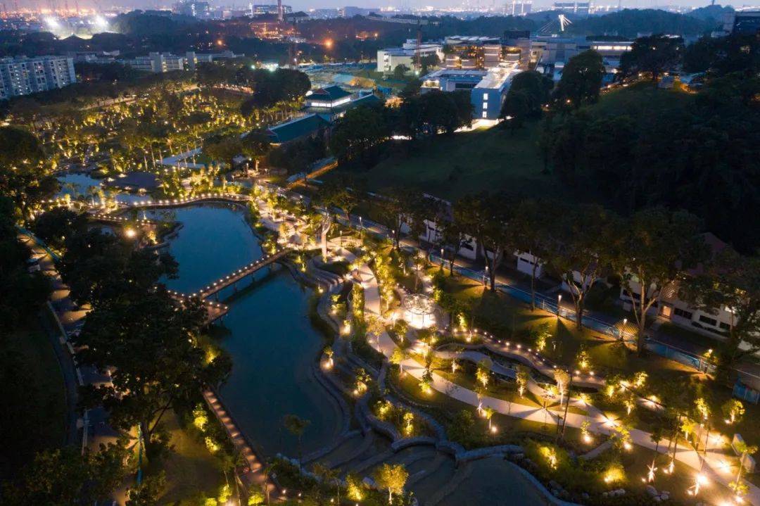 2020，南洋理工大学这一年