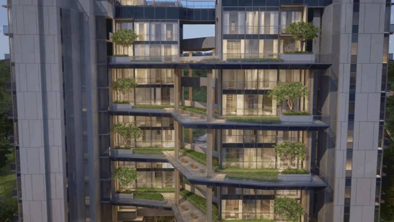 将自然引入城市：新加坡“花园城市”背后的故事