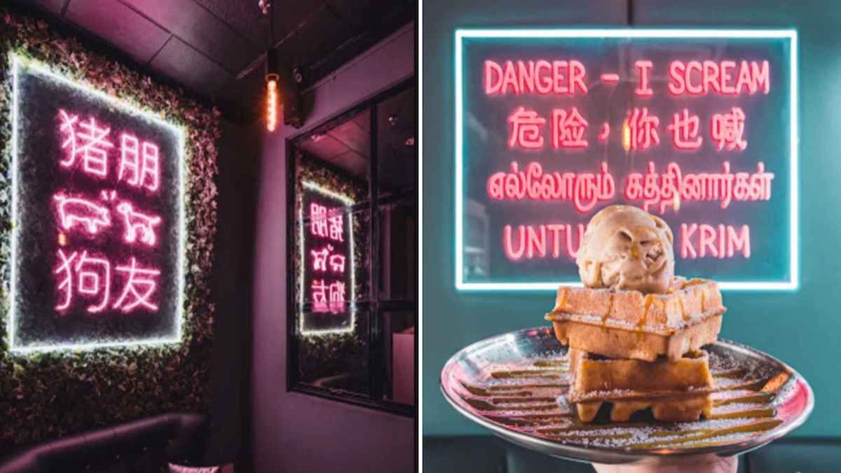 猪朋狗友咖啡厅 后港新咖啡厅 成为新打卡地点!冰淇淋,啤酒,华夫饼