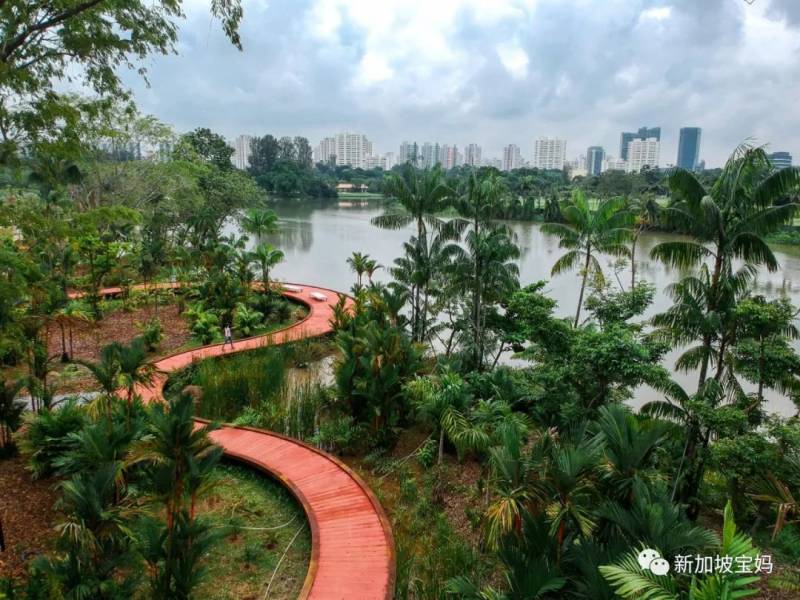 2021新加坡跨年烟火最强观看攻略，大家拿好不谢