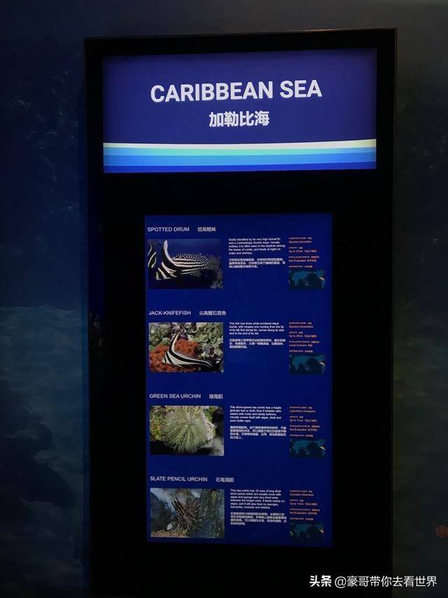 新加坡不枉此行的10大看点（中）分三集介绍