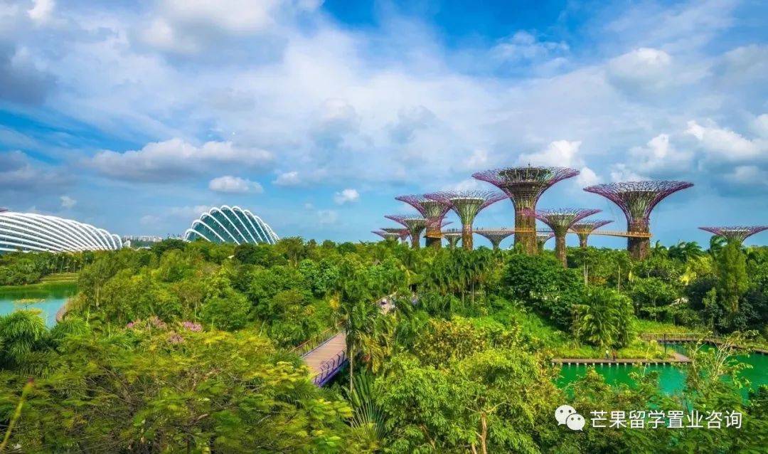 2030年新加坡将变成这样，全岛花园扩建、新建走廊和连道