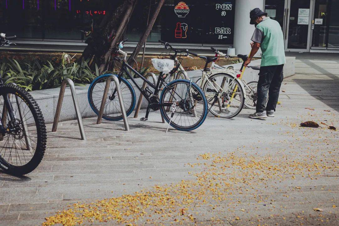 人间四月,来感受新加坡国立大学的春天