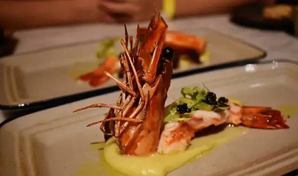 圣诞节该去哪？好吃的，好玩的统统安排