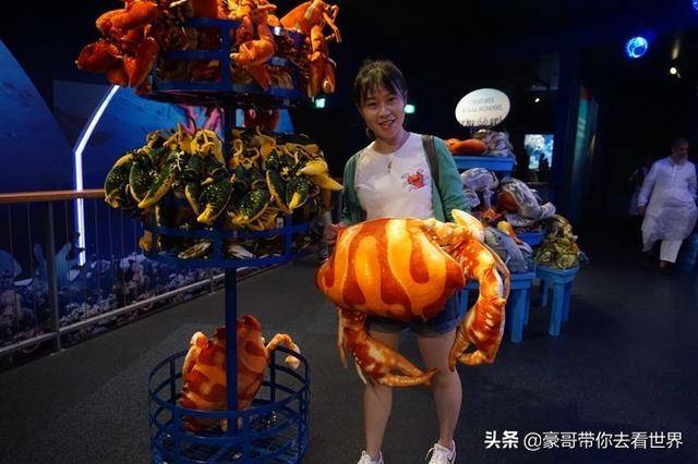 新加坡不枉此行的10大看点（中）分三集介绍