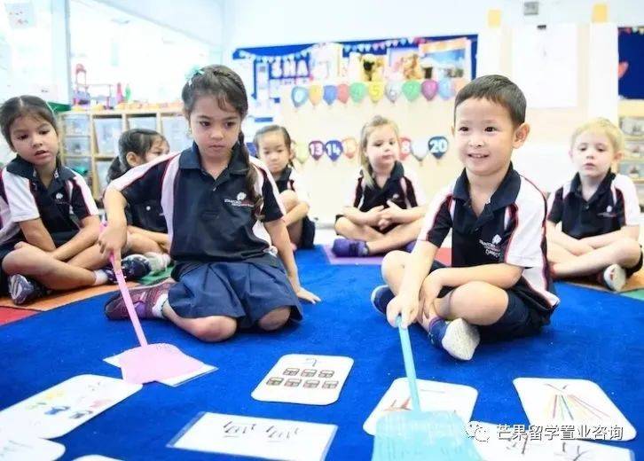 “明星国际学校”——新加坡史丹福美国国际学校