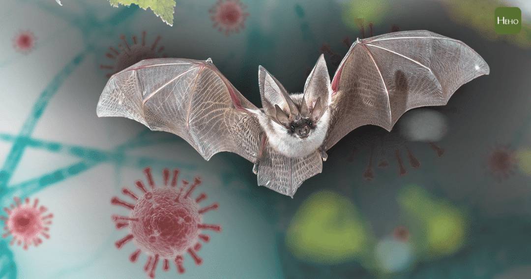 世卫组织专家于今日从新加坡启程，前往武汉追查新冠病毒源头