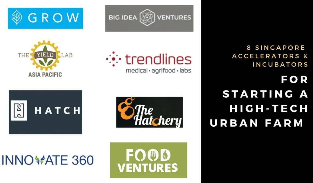 您想在新加坡打造一个高科技农场吗？这几个孵化器帮你助力